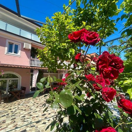 Apartments Tereza Novigrad Istria Buitenkant foto
