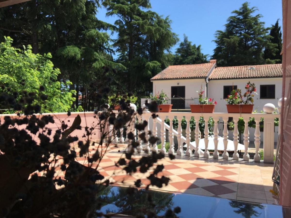 Apartments Tereza Novigrad Istria Buitenkant foto