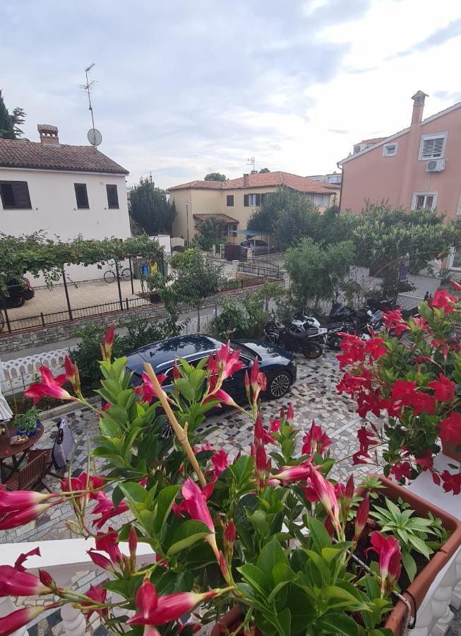 Apartments Tereza Novigrad Istria Buitenkant foto